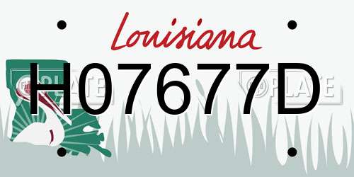 H07677D Louisiana License Plate
