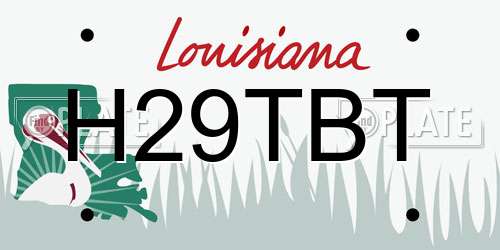 H29TBT Louisiana License Plate