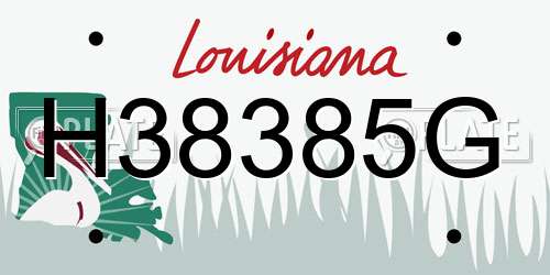 H38385G Louisiana License Plate