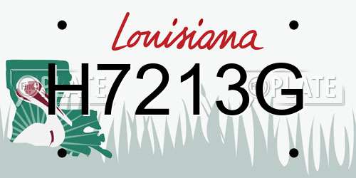 H7213G Louisiana License Plate
