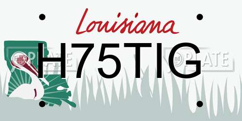 H75TIG Louisiana License Plate