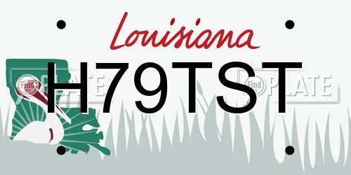 H79TST Louisiana License Plate