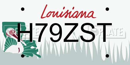 H79ZST Louisiana License Plate