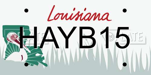 HAYB15 Louisiana License Plate