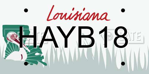 HAYB18 Louisiana License Plate