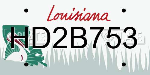 HD2B753 Louisiana License Plate