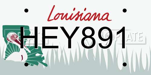 HEY891 Louisiana License Plate