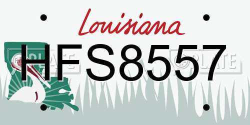 HFS8557 Louisiana License Plate