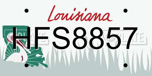HFS8857 Louisiana License Plate