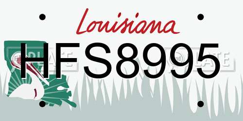 HFS8995 Louisiana License Plate