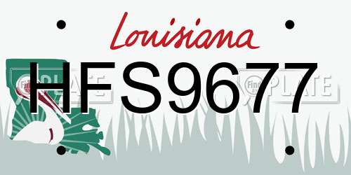 HFS9677 Louisiana License Plate