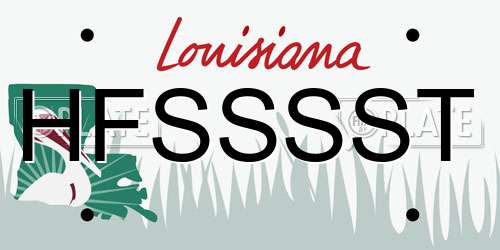 HFSSSST Louisiana License Plate