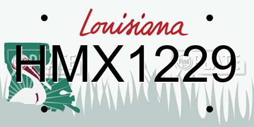 HMX1229 Louisiana License Plate