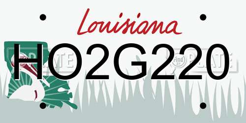HO2G220 Louisiana License Plate
