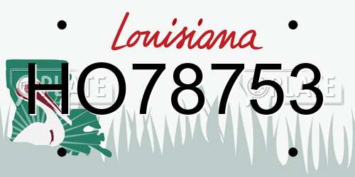 HO78753 Louisiana License Plate