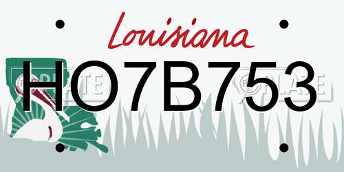 HO7B753 Louisiana License Plate