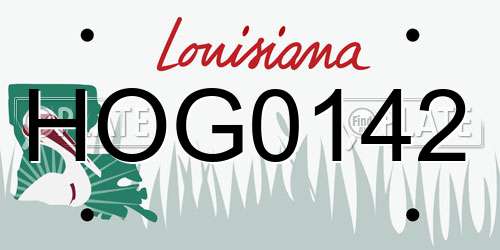 HOG0142 Louisiana License Plate