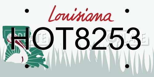 HOT8253 Louisiana License Plate