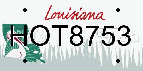 HOT8753 Louisiana License Plate