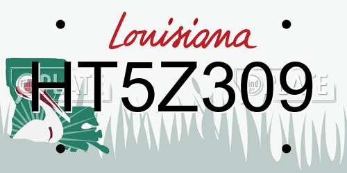 HT5Z309 Louisiana License Plate