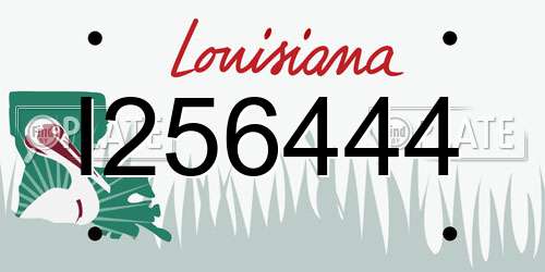 I256444 Louisiana License Plate