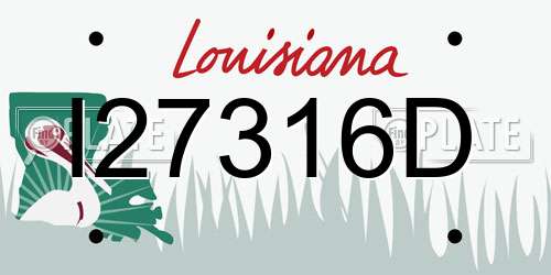 I27316D Louisiana License Plate