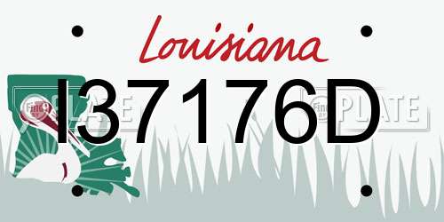 I37176D Louisiana License Plate