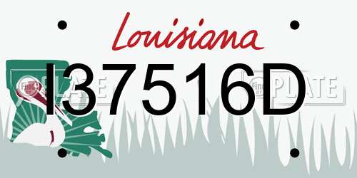 I37516D Louisiana License Plate