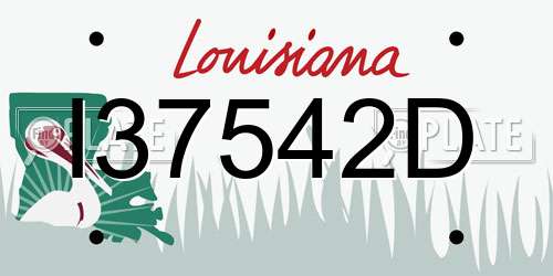 I37542D Louisiana License Plate