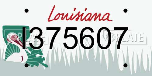 I375607 Louisiana License Plate