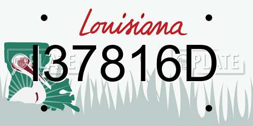I37816D Louisiana License Plate