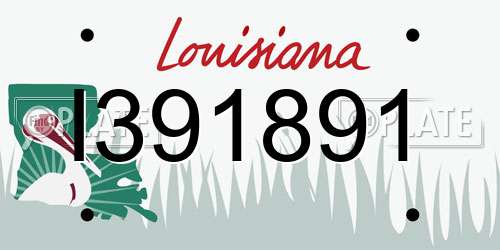 I391891 Louisiana License Plate