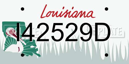I42529D Louisiana License Plate