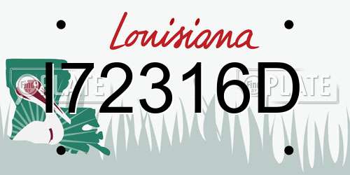 I72316D Louisiana License Plate
