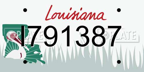 I791387 Louisiana License Plate