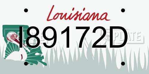 I89172D Louisiana License Plate