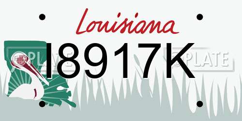 I8917K Louisiana License Plate