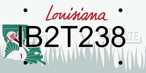 IB2T238 Louisiana License Plate