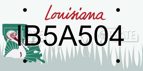 IB5A504 Louisiana License Plate