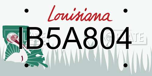 IB5A804 Louisiana License Plate