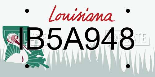 IB5A948 Louisiana License Plate