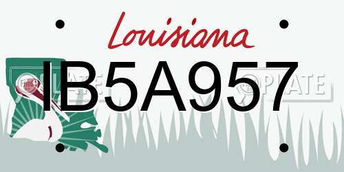 IB5A957 Louisiana License Plate