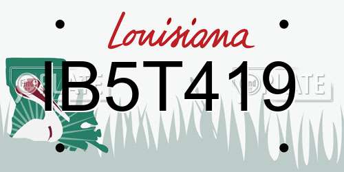 IB5T419 Louisiana License Plate
