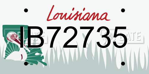 IB72735 Louisiana License Plate