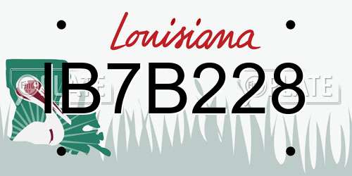 IB7B228 Louisiana License Plate