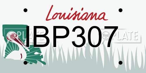 IBP307 Louisiana License Plate