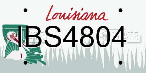 IBS4804 Louisiana License Plate