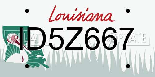 ID5Z667 Louisiana License Plate