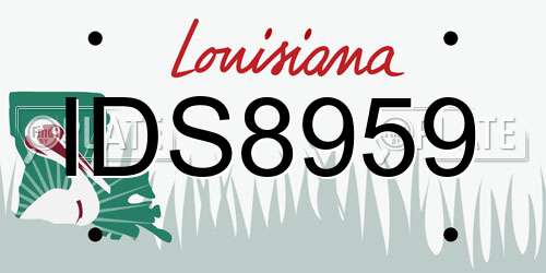 IDS8959 Louisiana License Plate