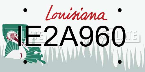 IE2A960 Louisiana License Plate